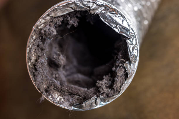 Best Affordable Duct Cleaning Services  in Ofallon, IL