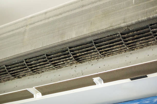 Best Air Duct Cleaning Near Me  in Ofallon, IL