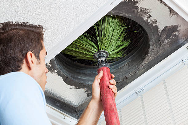 Best Air Duct Cleaning Company Near Me  in Ofallon, IL
